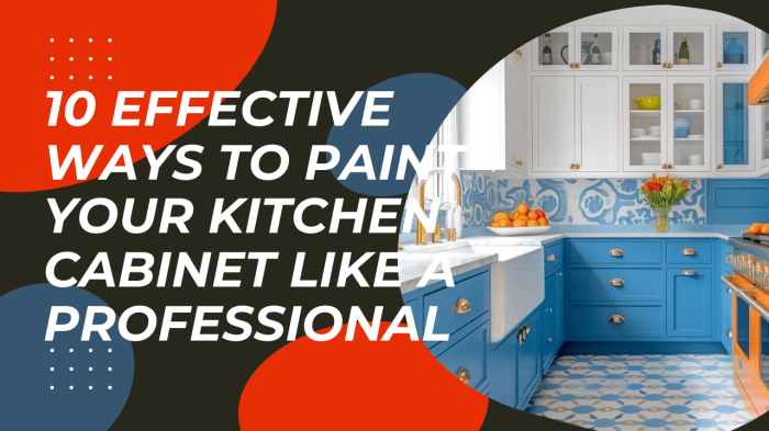 Cabinet spraying dengarden