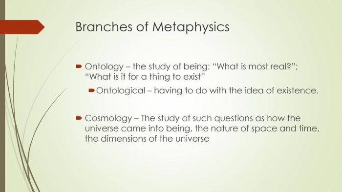 Metaphysics