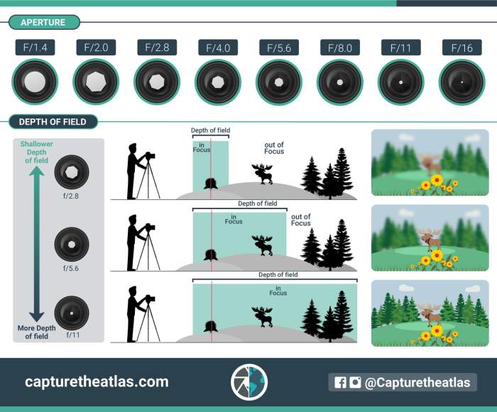 Aperture depth field photography diagram understand affects example lens effect why effects taken here steps